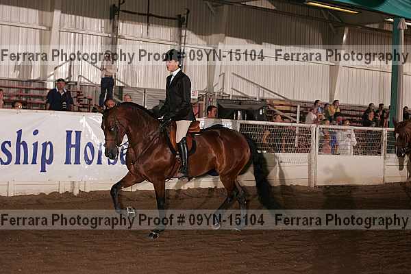 Proof 09yn-15104