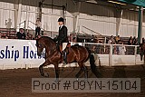 09yn-15104 proof
