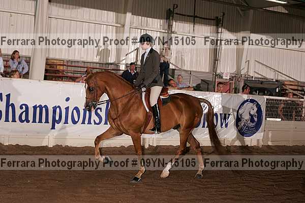 Proof 09yn-15105