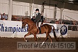 09yn-15105 proof