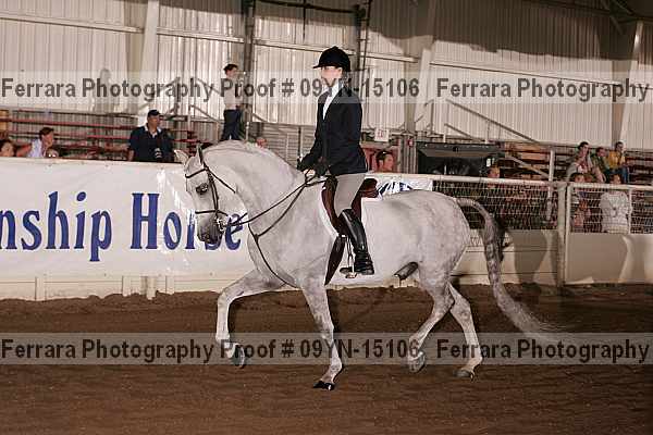 Proof 09yn-15106