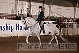 09yn-15106 proof