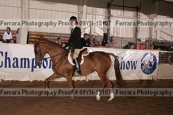 Proof 09yn-15107