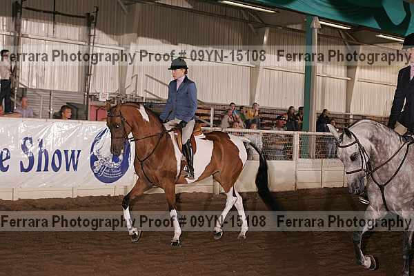 Proof 09yn-15108
