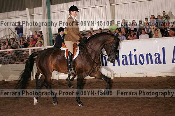 Proof 09yn-15109