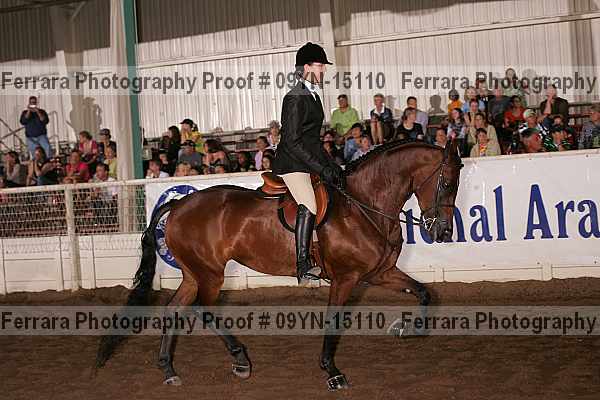 Proof 09yn-15110