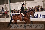 09yn-15110 proof