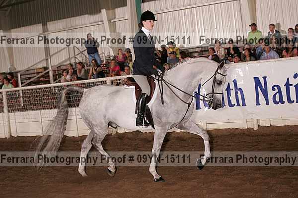 Proof 09yn-15111