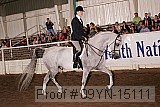 09yn-15111 proof