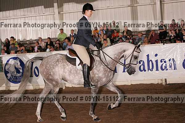 Proof 09yn-15112