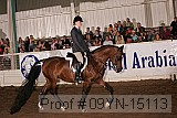 09yn-15113 proof