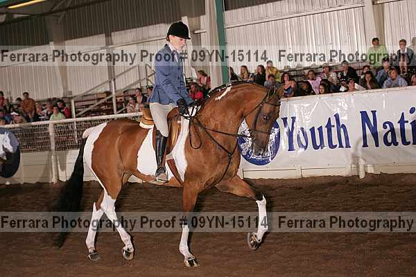 Proof 09yn-15114