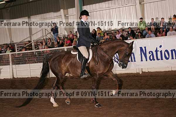 Proof 09yn-15115