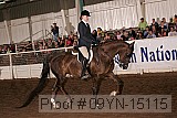 09yn-15115 proof