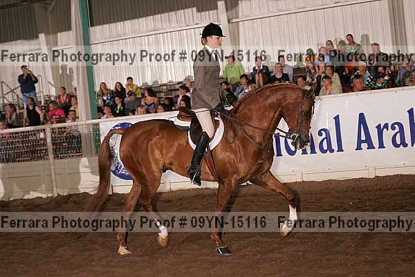 Proof 09yn-15116