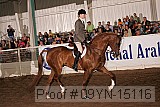 09yn-15116 proof