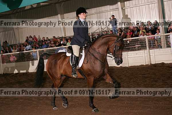 Proof 09yn-15117