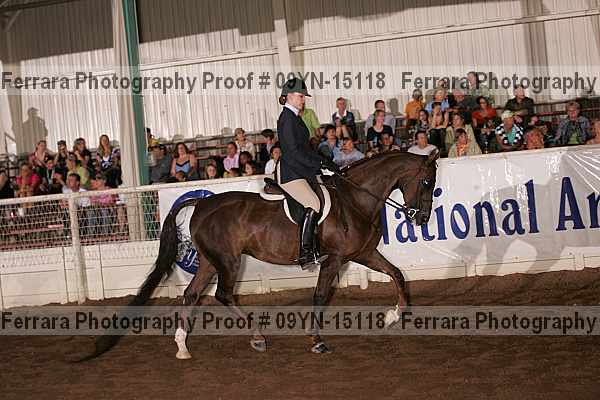 Proof 09yn-15118