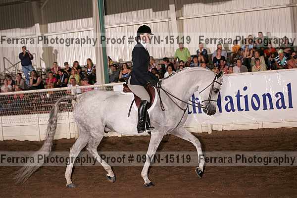 Proof 09yn-15119