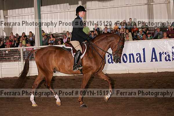 Proof 09yn-15120