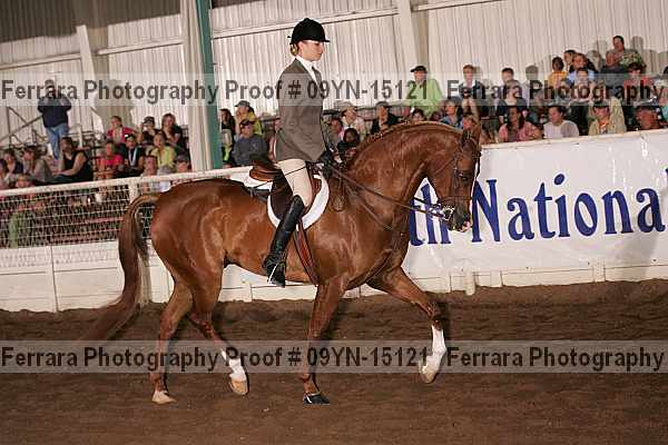 Proof 09yn-15121