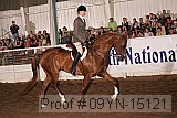 09yn-15121 proof