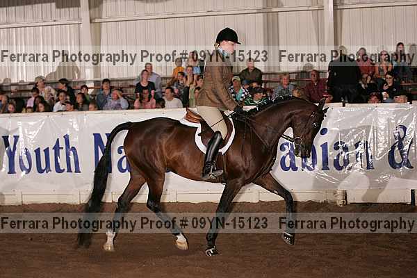 Proof 09yn-15123