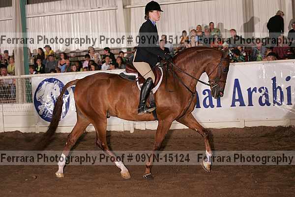 Proof 09yn-15124