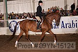 09yn-15124 proof