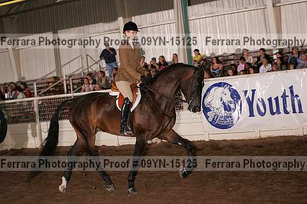Proof 09yn-15125