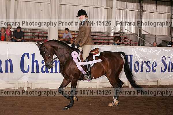 Proof 09yn-15126