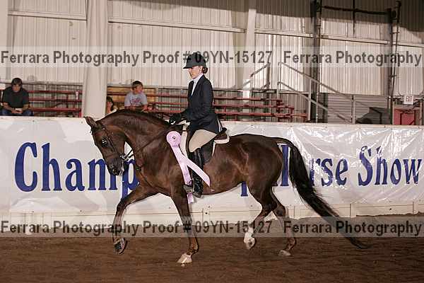 Proof 09yn-15127