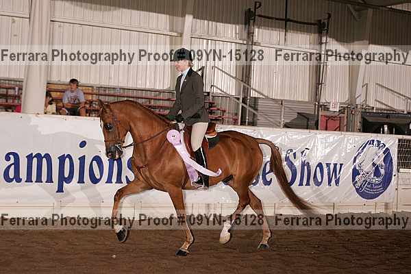 Proof 09yn-15128