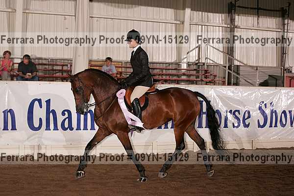 Proof 09yn-15129