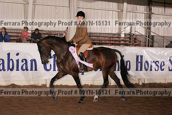 Proof 09yn-15131