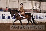 09yn-15131 proof