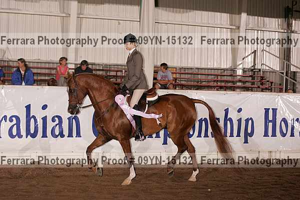 Proof 09yn-15132