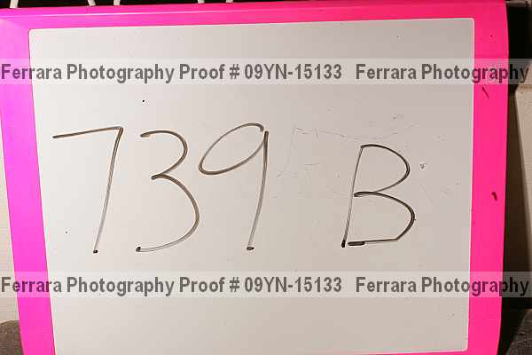 Proof 09yn-15133