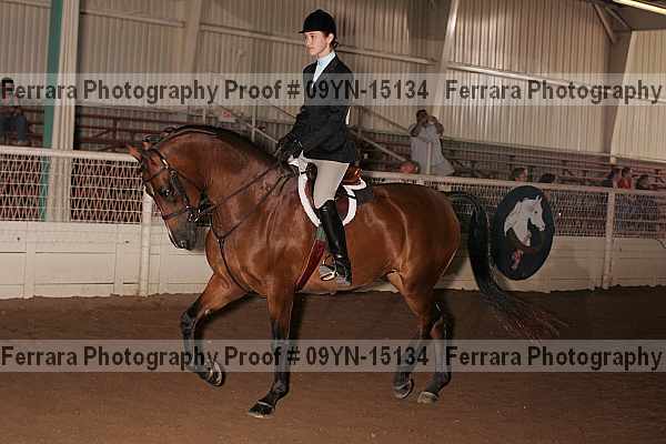 Proof 09yn-15134