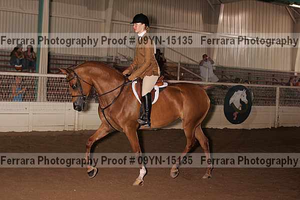 Proof 09yn-15135