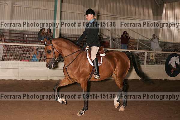 Proof 09yn-15136