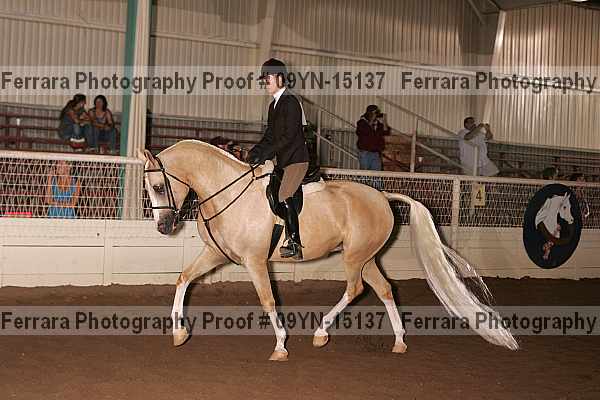 Proof 09yn-15137