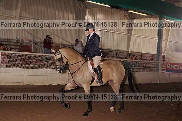 Proof 09yn-15138