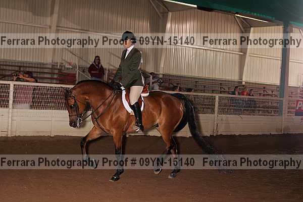 Proof 09yn-15140