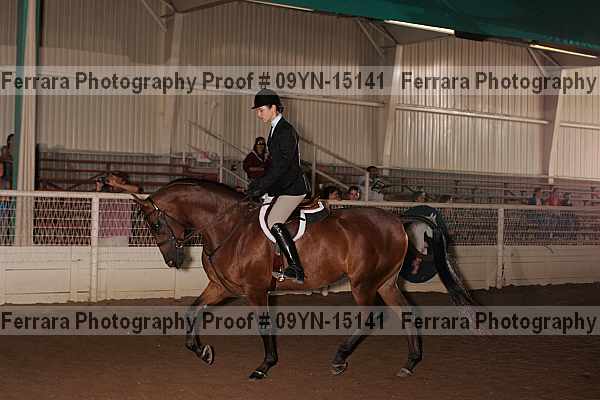 Proof 09yn-15141