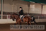 09yn-15141 proof