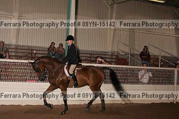 Proof 09yn-15142