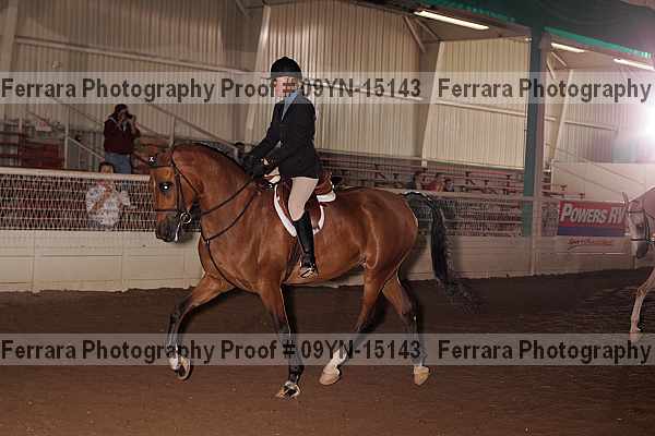 Proof 09yn-15143