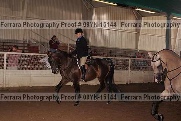 Proof 09yn-15144