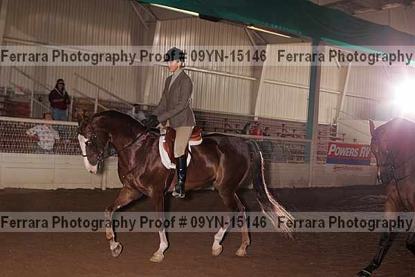 Proof 09yn-15146